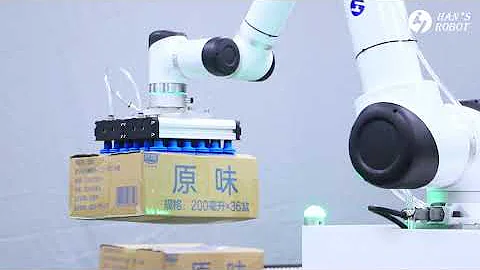 Han's Robot Application - Palletizing Solution
