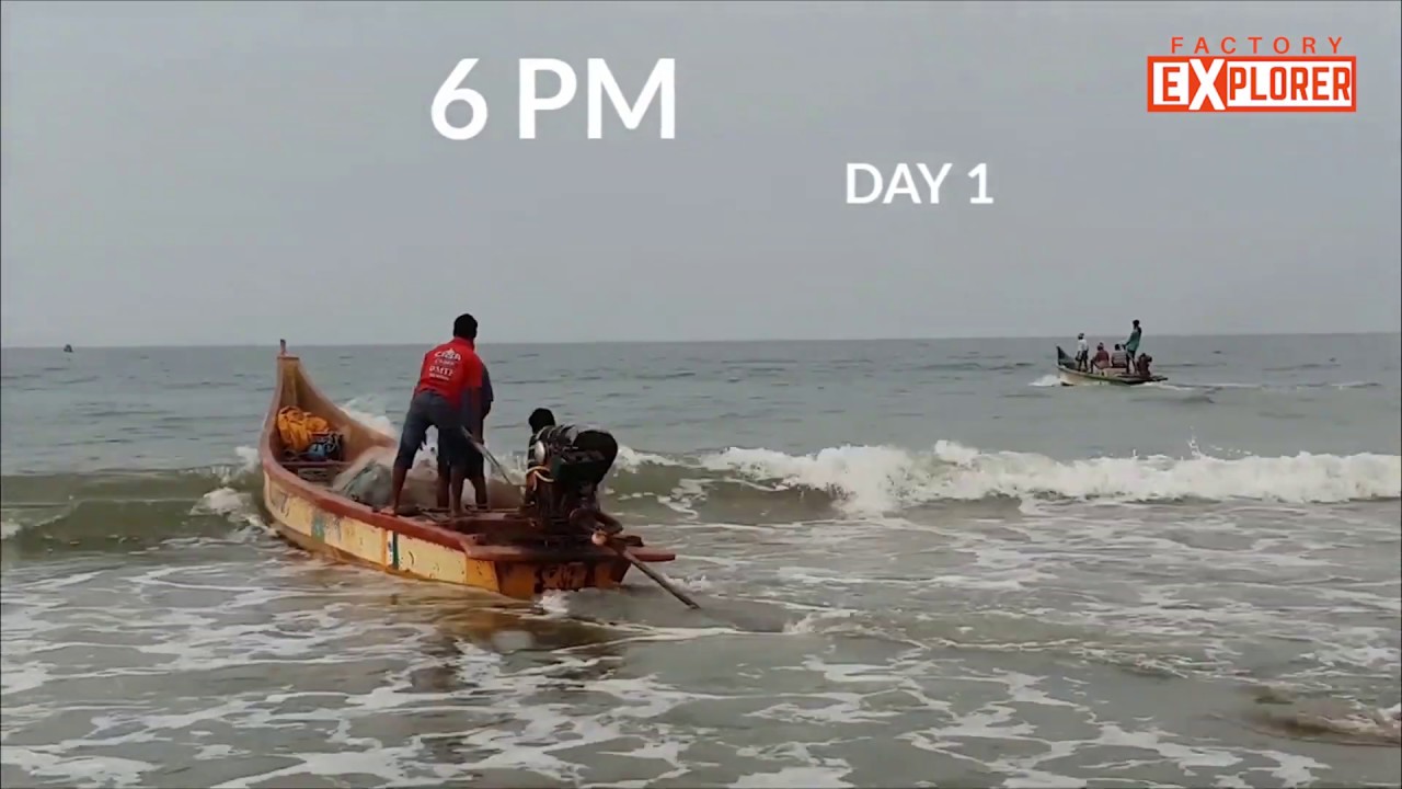 A Day in Fishermen's Life | Factory Explorer