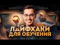 Как учиться ПРАВИЛЬНО, ЭФФЕКТИВНО и БЫСТРО