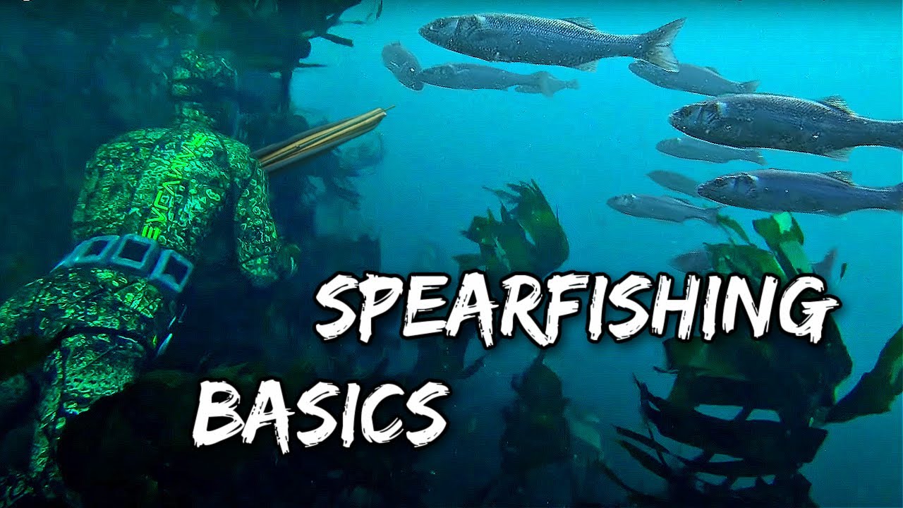 SPEARFISHING FOR BEGINNERS - Shore Diving Edition 