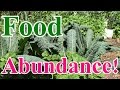 How We Achieved Food Abundance in Early June in Zone 5 How We Achieved Food Abundance in Early June in Zone 5