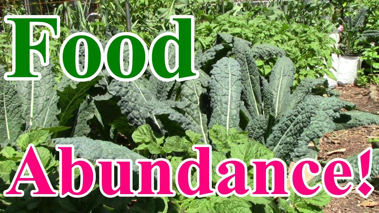 How We Achieved Food Abundance in Early June in Zone 5 - YouTube