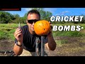 Cricket-Bombs