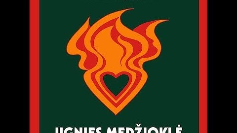 Ugnies Medziokle, Giedrius Kuprevičius 1975 (vinyl record)