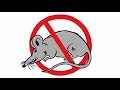 1.5 hour sound to scare away rats, mice | MOUSE KILLER - ON KILL MICE -Very High Pitch Sound Noises