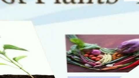 2nd Standard - Term1 Volume2  EVS Unit 3 - Plants Around Us (Part-1)