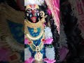 मां मरघट वासिनि जी के सुबह के दर्शन #Guru#maa#ka#ladla#kalka#navdurga#darbar#roorkee #viralvideos