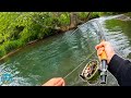 Streamer fly fishing for giant browns  best day of trout fishing