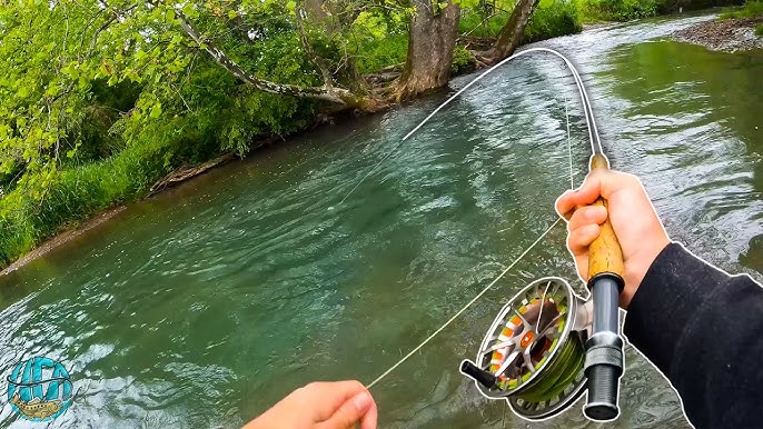 Incredible Fly Fishing for BIG Rainbow Trout in a Stunning River!! 
