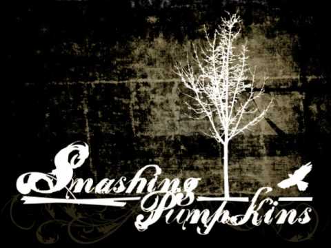 Smashing Pumpkins - Butterfly with bulletwings (BASS ONLY)
