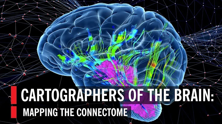 Cartographers of the Brain: Mapping the Connectome