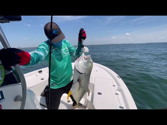 Jack Crevalle Fishing Tips: Best techniques on how to catch a “Poor Man's  GT” or “Canal Tuna.” 