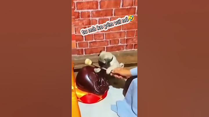 tu ma cung khong yen nua #automobile #reviewvui #tintuc #xaynhatho #giaothong #memes #funny #news