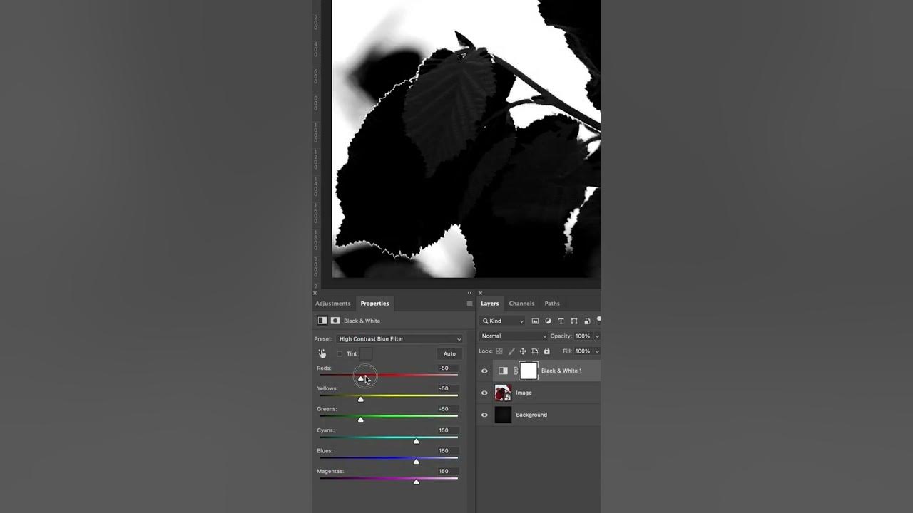 Convert a color image to black and white in Photoshop and share