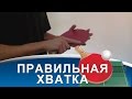 ХВАТКА РАКЕТКИ в НАСТОЛЬНОМ ТЕННИСЕ (КАК ПРАВИЛЬНО ДЕРЖАТЬ РАКЕТКУ)