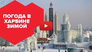 Погода в Харбине зимой