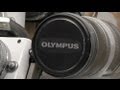 Olympus fraud arrests Mp3 Song