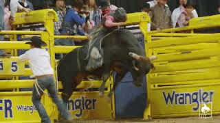 Rednecks and Romance: Bull Riding 101: Bullropes