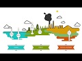The Role of Carbon Sinks in Climate Change Mitigation