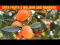 Essa FRUTINHA é uma BÊNÇÃO! (Cura Ressaca, Colesterol, Hipertensão, Catarata, Imunidade)