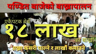 पण्डित बाजेको बाख्रापालन, एकैदिन १८ लाखका बाख्रा बिक्री ।Model Goat Farming of Nepal ll Cover TV