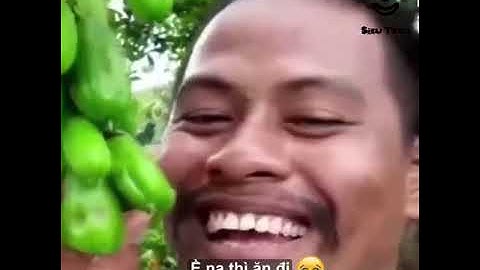 tổng hợp cái rạp xiếc trung ương 2021