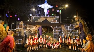 Miniatura de vídeo de "LA CARTICA AL NIÑO DIOS - Amadeus Champagnat 2016 - Autor: Rodrigo Espinosa"