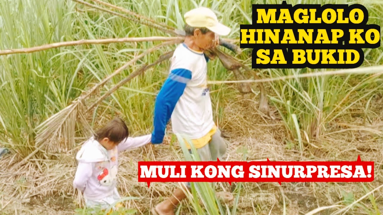 NAKAKAANTIG NG PUSO ANG MAGLOLO NA LAGING MAGKASAMA HINANAP KO SA BUKID AT MULI KONG SINURPRESA!