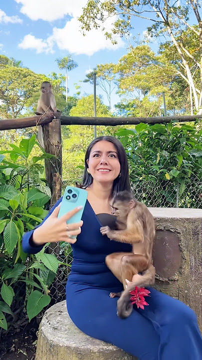 Monkey #funny #fyp #monkey #crazy