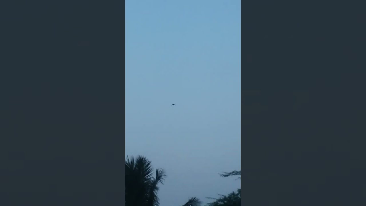 Evening Short YouTube Evening Short YouTube