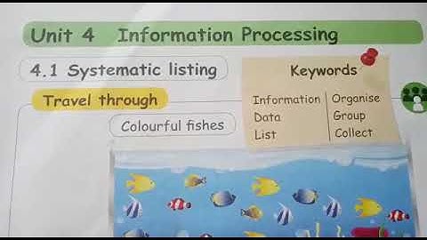 1std Mathematics Term1 Unit4 Information processing