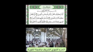سورة الفيل قراءة الشيخ عبدالمحسن القاسم