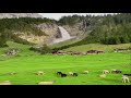 ايوب طارش عبسي ( البالة ) زغاريد الغيول (مناظر طبيعية )