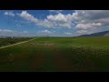 اغنية سهل الغاب سلملي على الغاب اغنية سهل الغاب سلملي على الغاب