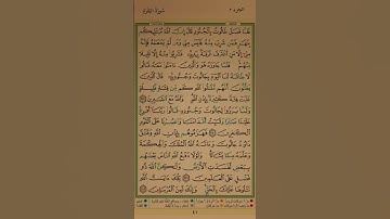 سورة البقرة | الصفحة ٤١ | القارئ زياد الكردي #سورة_البقرة #القرآن #ziyadalkurdi