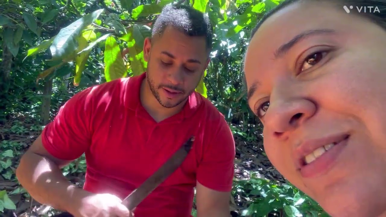 Chegamos na Bahia e já fomos pra roça de cacau / a moto não subiu a ladeira 