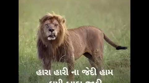 સમય નબળો હોય એદી કોઈ જોડે નથી હોતા [ દેવાયત ખવડ જોરદાર વાત ]