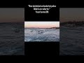 Yalnız ona. #keşfet #fypシ #sunset #reels #eminonu #ibadet #huzur #islam #istanbul #manzaralar