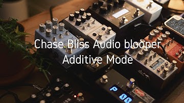 Chase Bliss Audio blooper// Additive Mode