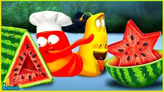 Larva Tuba 20224: Food Shaping / Cartoon Movies Top 50 Episode/ Mini Series From Animation Larva