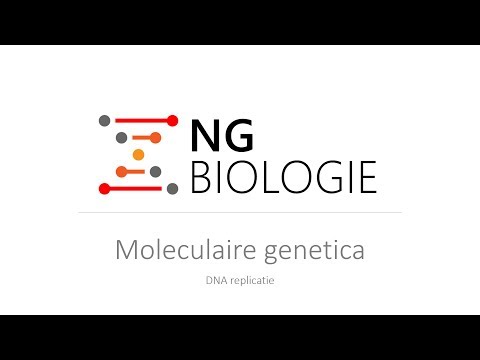 Moleculaire genetica - DNA replicatie - HAVO/VWO
