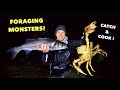 COASTAL FORAGING - Huge Spidercrab , Huge Bass ! Catch Clean Cook SPIDERCRAB , Insane Creatures