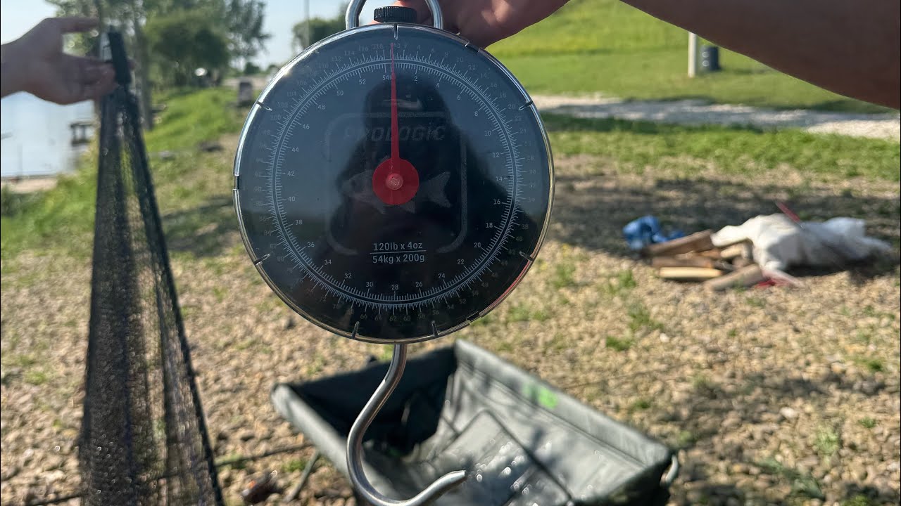 ЕДЕЛЬВЕЙ СПОРТИВНЕ ОЗЕРО. Відео №1 #короповаловля #carpfishing #carp #fish