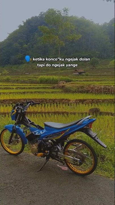 STORY WA SATRIA FU
