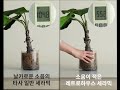 소음 적은 레트로하우스 세라믹 식탁 소음 적은 레트로하우스 세라믹 식탁