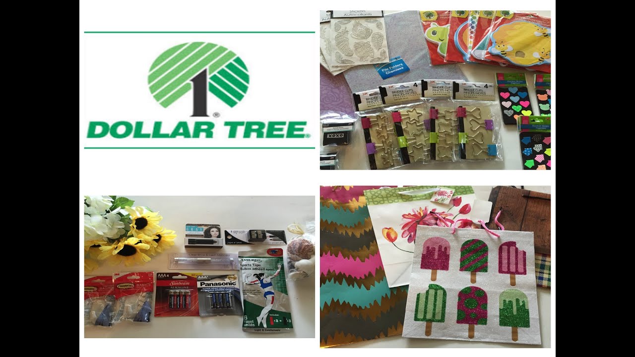 DOLLAR TREE HAUL | New Store and New Items!!!