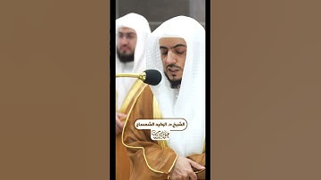 الشيخ:د. الوليد الشمسان | {إن المنافقين في الدرك الأسفل من النار} | ليلة ٧ رمضان ٤٥هـ |#عبق#التلاوات