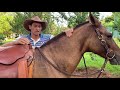 Como posicionar a cabeça de seu cavalo? Como ensinar rédeas ao cavalo?