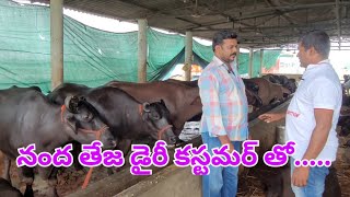 Nandha Teja dairy farm Customer experience...... screenshot 5