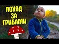 ИЩЕМ ГРИБЫ С СЫНОМ В ЛЕСУ!